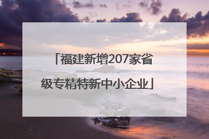 福建新增207家省级专精特新中小企业
