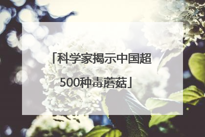 科学家揭示中国超500种毒蘑菇