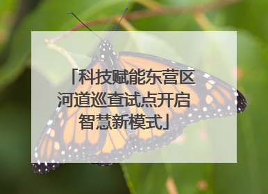 科技赋能东营区河道巡查试点开启智慧新模式