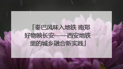 秦巴风味入地铁 南郑好物映长安——西安地铁里的城乡融合新实践