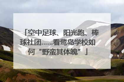 空中足球、阳光跑、棒球社团……看鹭岛学校如何“野蛮其体魄”