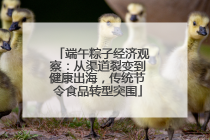 端午粽子经济观察：从渠道裂变到健康出海，传统节令食品转型突围
