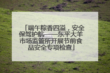 端午粽香四溢，安全保驾护航——东平大羊市场监管所开展节前食品安全专项检查