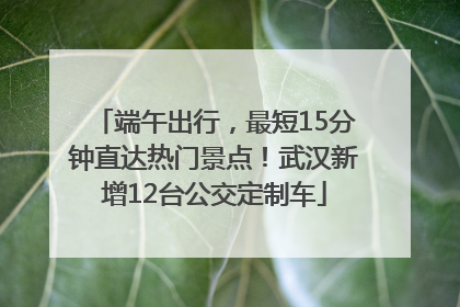 端午出行，最短15分钟直达热门景点！武汉新增12台公交定制车