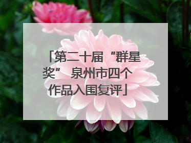 第二十届“群星奖” 泉州市四个作品入围复评