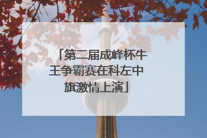 第二届成峰杯牛王争霸赛在科左中旗激情上演