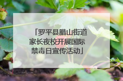 罗平县腊山街道家长夜校开展国际禁毒日宣传活动