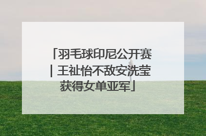 羽毛球印尼公开赛｜王祉怡不敌安洗莹 获得女单亚军