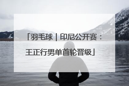 羽毛球｜印尼公开赛：王正行男单首轮晋级