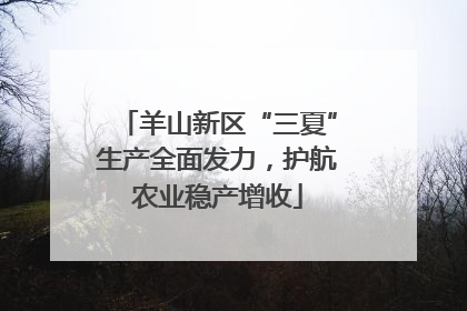 羊山新区“三夏”生产全面发力，护航农业稳产增收