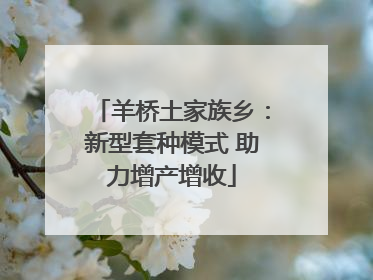 羊桥土家族乡：新型套种模式 助力增产增收