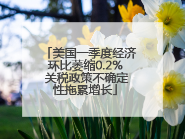 美国一季度经济环比萎缩0.2% 关税政策不确定性拖累增长