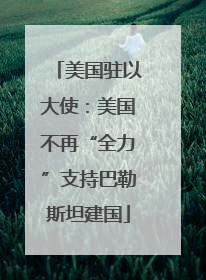 美国驻以大使：美国不再“全力”支持巴勒斯坦建国