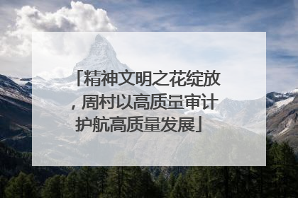 精神文明之花绽放，周村以高质量审计护航高质量发展