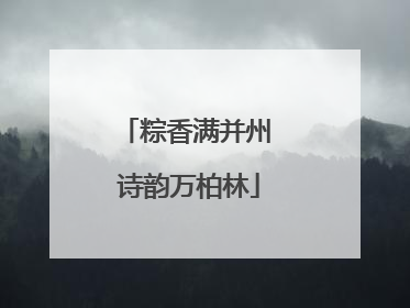 粽香满并州 诗韵万柏林