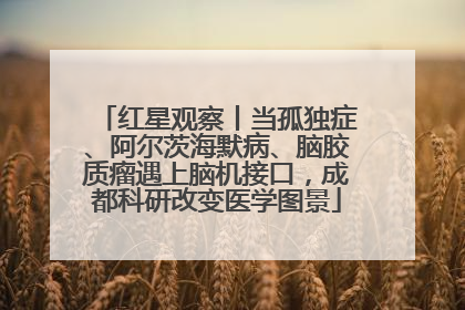 红星观察丨当孤独症、阿尔茨海默病、脑胶质瘤遇上脑机接口，成都科研改变医学图景