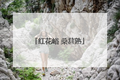 红花峪 桑葚熟