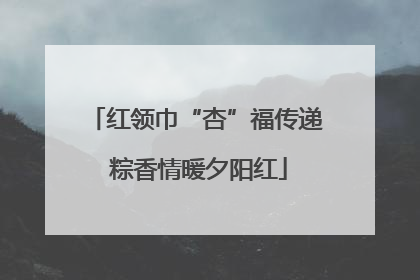 红领巾“杏”福传递 粽香情暖夕阳红