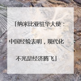 纳米比亚驻华大使：中国经验表明，现代化不光是经济腾飞