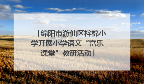 绵阳市游仙区梓棉小学开展小学语文“富乐课堂”教研活动