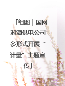 组图｜国网湘潭供电公司多形式开展“计量”主题宣传