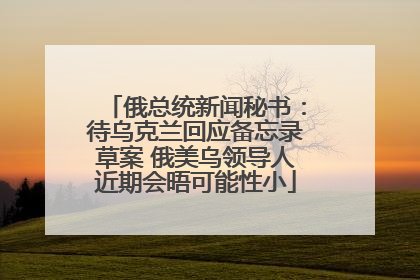 俄总统新闻秘书：待乌克兰回应备忘录草案 俄美乌领导人近期会晤可能性小