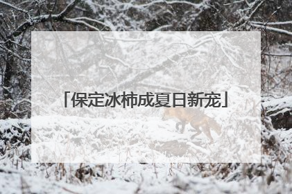 保定冰柿成夏日新宠