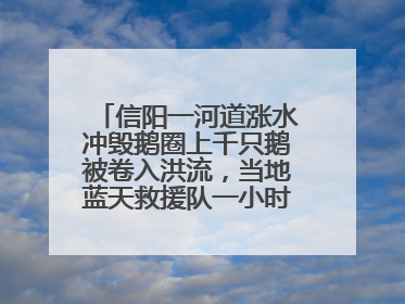 信阳一河道涨水冲毁鹅圈上千只鹅被卷入洪流，当地蓝天救援队一小时赶鹅上岸