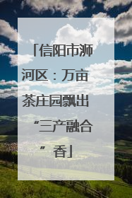 信阳市浉河区：万亩茶庄园飘出“三产融合”香