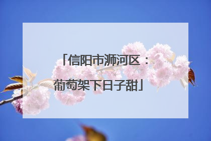 信阳市浉河区：葡萄架下日子甜