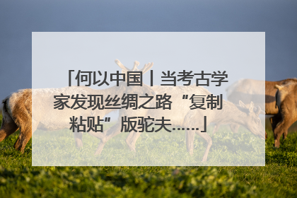 何以中国丨当考古学家发现丝绸之路“复制粘贴”版驼夫……