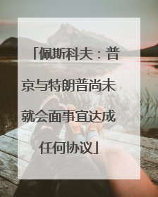佩斯科夫：普京与特朗普尚未就会面事宜达成任何协议