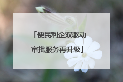 便民利企双驱动 审批服务再升级