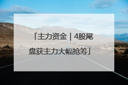 主力资金｜4股尾盘获主力大幅抢筹