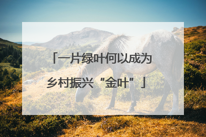 一片绿叶何以成为乡村振兴“金叶”