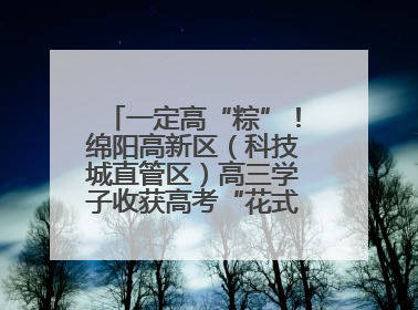 一定高“粽”！绵阳高新区（科技城直管区）高三学子收获高考“花式”祝福