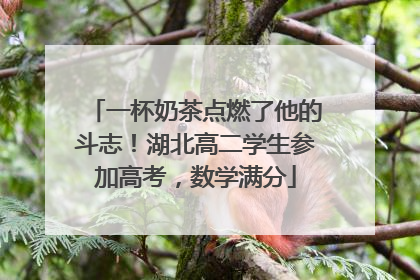 一杯奶茶点燃了他的斗志！湖北高二学生参加高考，数学满分