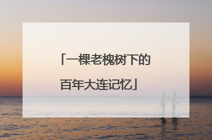 一棵老槐树下的百年大连记忆