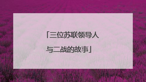 三位苏联领导人与二战的故事