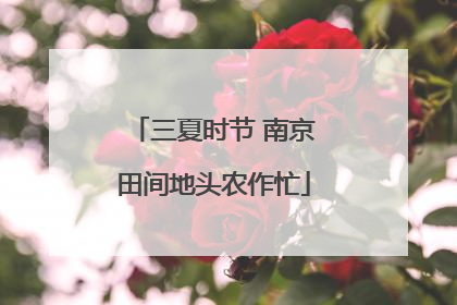 三夏时节 南京田间地头农作忙