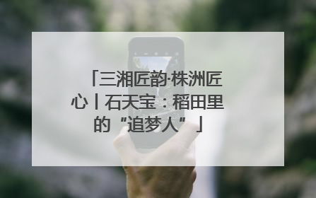 三湘匠韵·株洲匠心丨石天宝：稻田里的“追梦人”