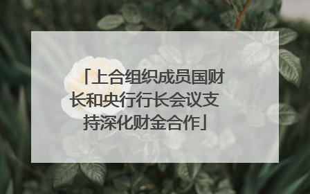 上合组织成员国财长和央行行长会议支持深化财金合作
