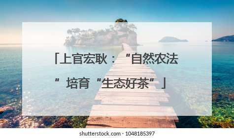 上官宏耿：“自然农法”培育“生态好茶”