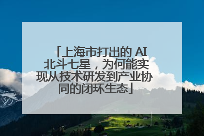 上海市打出的 AI 北斗七星，为何能实现从技术研发到产业协同的闭环生态