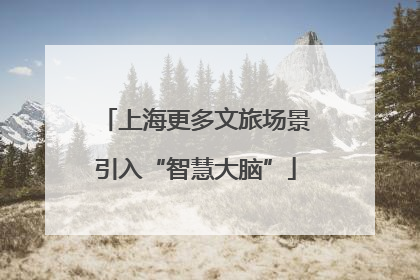 上海更多文旅场景引入“智慧大脑”