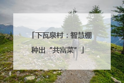 下瓦泉村：智慧棚种出“共富菜”