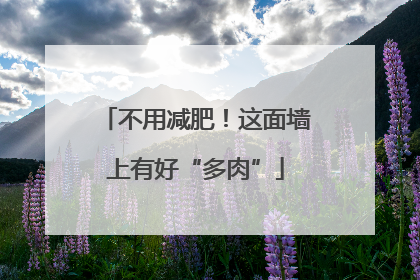 不用减肥！这面墙上有好“多肉”
