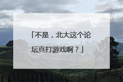 不是，北大这个论坛真打游戏啊？