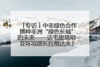 专访丨中非绿色合作播种非洲“绿色长城”的未来——访毛里塔尼亚环境部长拉格达夫