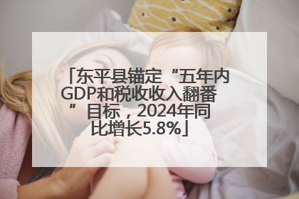东平县锚定“五年内GDP和税收收入翻番”目标，2024年同比增长5.8%